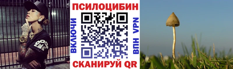 Галлюциногенные грибы прущие грибы  наркота  ОМГ ОМГ ТОР  Армянск 